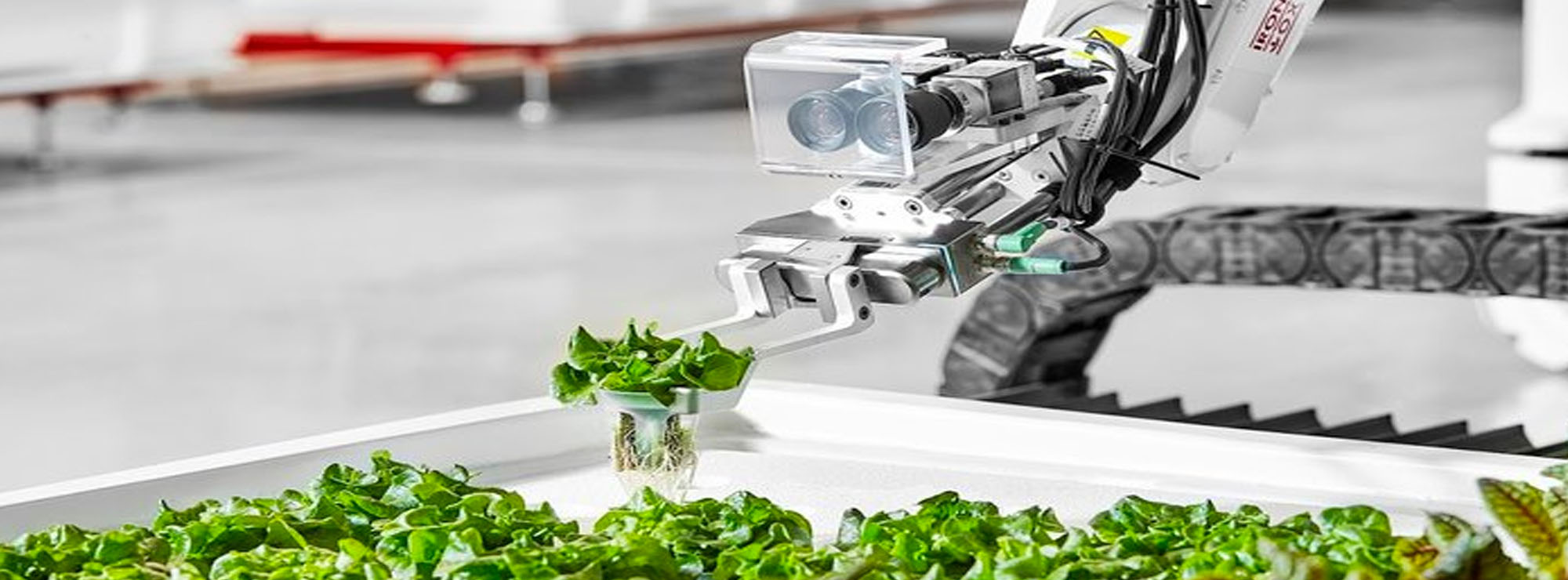 A US start up has created the world's first fully autonomous vertical farm – By Futurist and Virtual Keynote Matthew Griffin