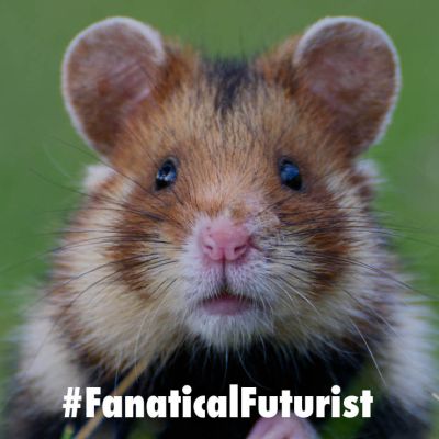 Futurist_hamstercombat